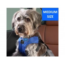トム・エバハート　HAIR CLUB FOR DOGS Amazon.com: Crazy Liberty Pet Hair Dye Kit - Washable, Safe