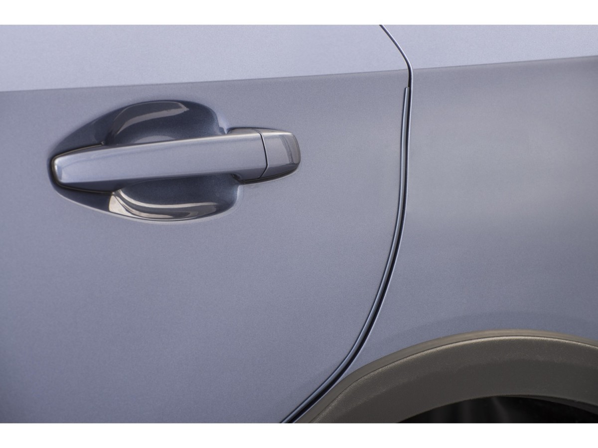 Color matched door edge guards 2025