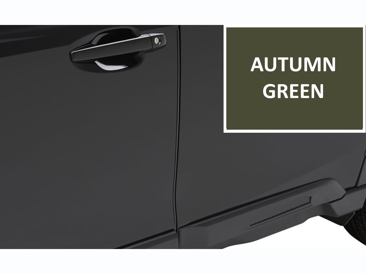 Subaru Door Edge Guards Kit Of Four Autumn Green Metallic