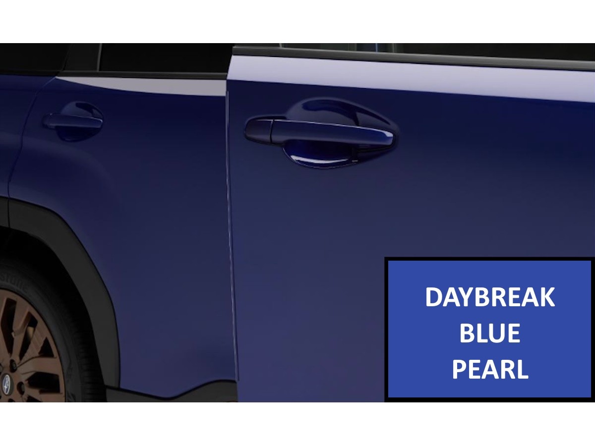 歩　専用 Subaru Door Edge Guards Kit Of Four In Daybreak Blue Pearl